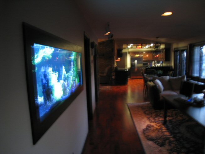 In-Wall aquarium in Hallway