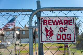 House Dog Intruder Deterrent