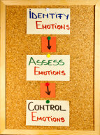 emotional intelligence stages