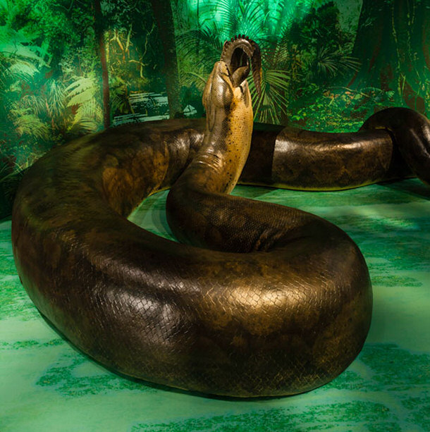 Titanoboa Devouring a Crocodile