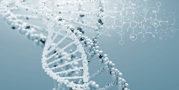 DNA Structure