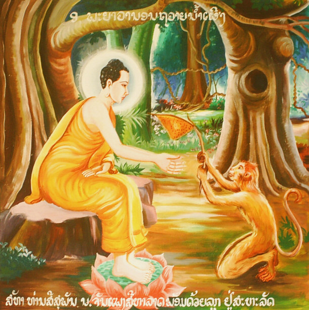 Buddha While Living in the Deep Forest - Monkey Gives the Buddha Some Honey to Sustain His Life and Many Other Animals in Turn Provide for the Buddha