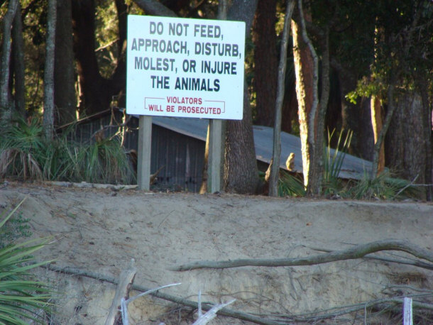 Sign and Some of the Local Wildlife on Morgan Island, SC