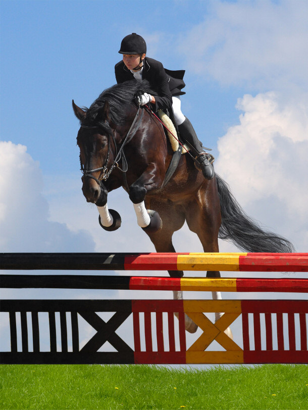 Horse Being Trained to Jump