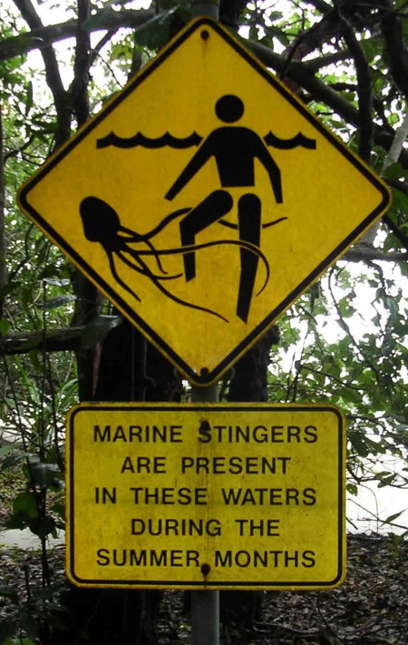 Box Jellyfish Warning Sign