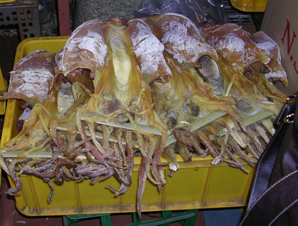 Dried Jellyfish