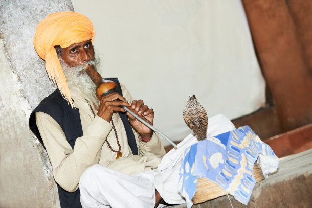 Hindu Snake Charmer with Indian Cobra