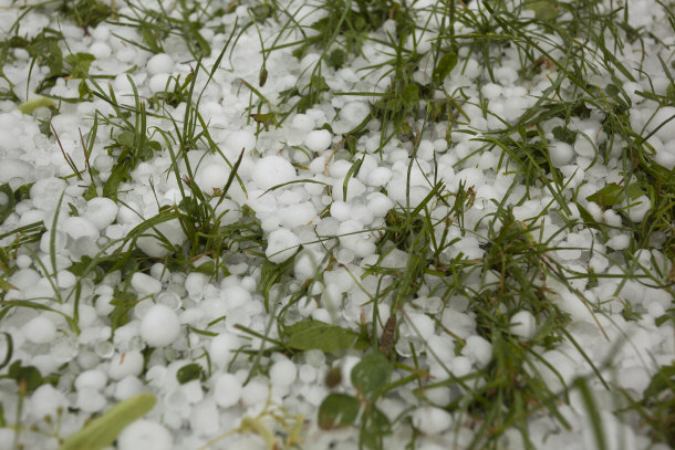 Hail in grass