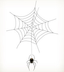 spider and web