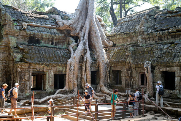 Ta Prohm Trees of Cambodia Angkor Archaeological Park