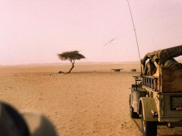 The Tree of Tenere and Its new Metal Figure