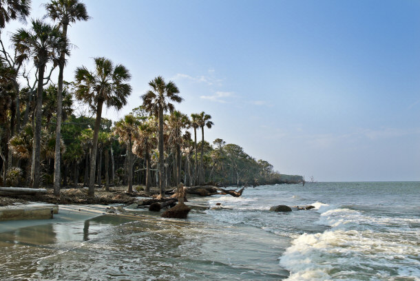 Hunting Island at High Tide