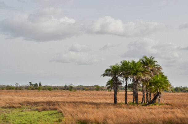 Guinea-Bissau