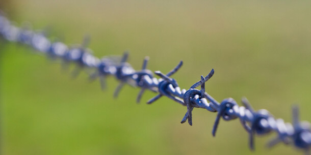 barbed wire