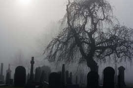 spooky cemetary