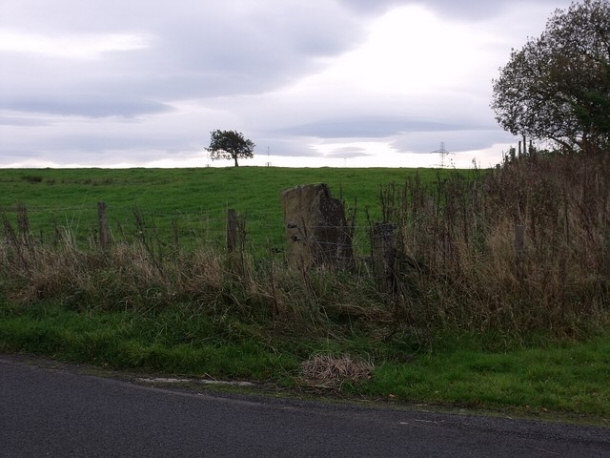 Wallace rock Falkirk England