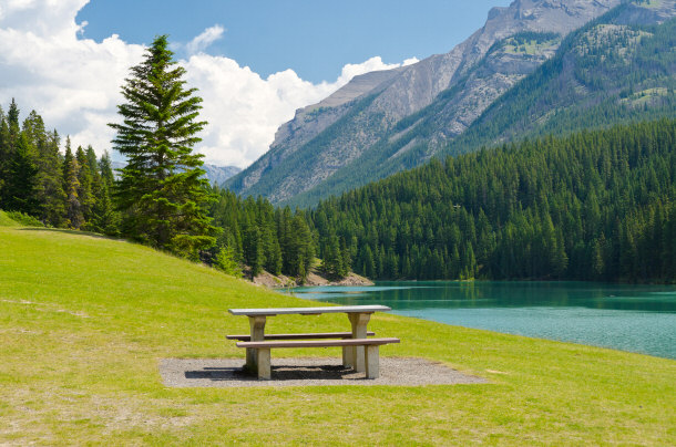 picnic table