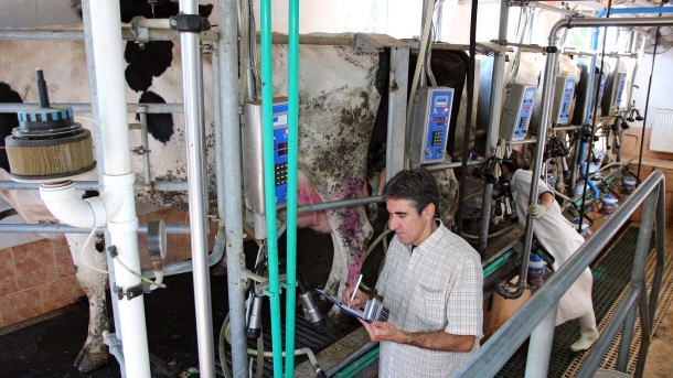 Dairy farm, federal regulators