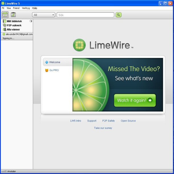 LimeWire was sued by thirteen major record labels for copyright infringement and the record companies felt that LimeWire was responsible for every single illegal download that occurred through the application.