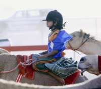 camel jockey