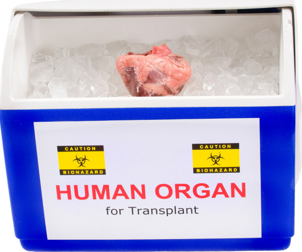 organ donation