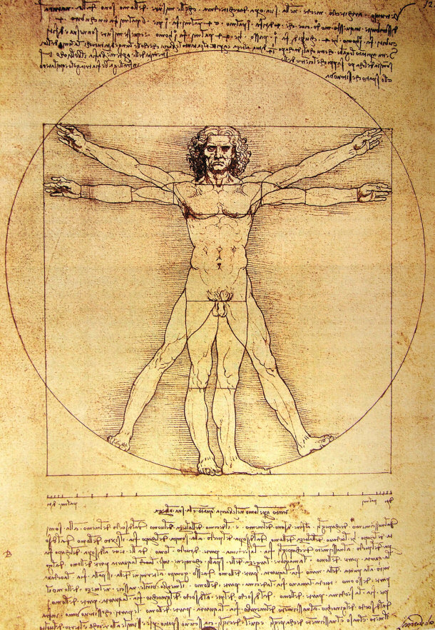Leonardo Da Vinci Studied Anatomy and Created the Vitruvian Man