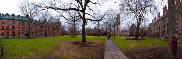 MLK JR received an honorary degree from the University of Yale