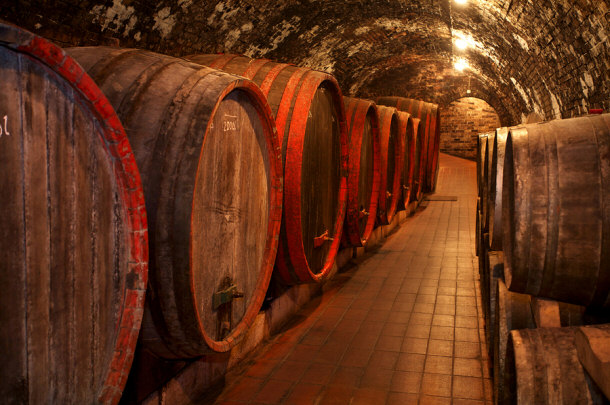 barrels of wine