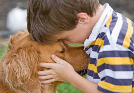 Boy marries a dog