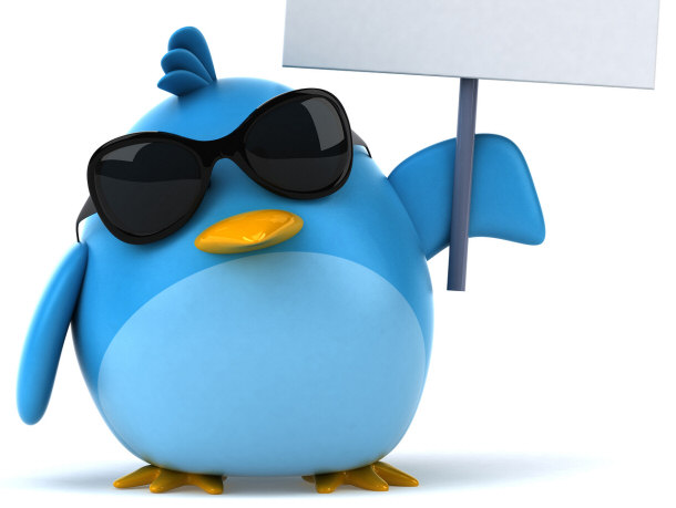 twitter blue bird
