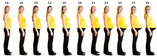 stages of pregnancy