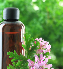 geranium essential oil