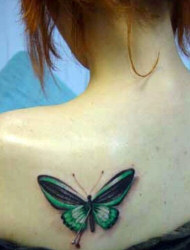 Green Butterfly Tattoo on back