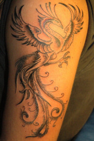 Phoenix Tattoo on arm