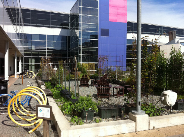 Google Mountain View Campus Garden