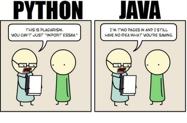 java and python cartoon