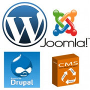 CMS - WordPress, Drupal, Joomla, or Static HTML