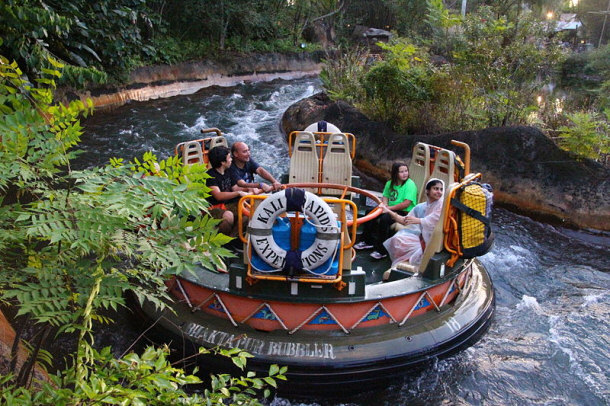 Picture of a Disney Water Park Ride