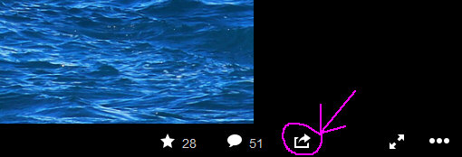 How to Share a Flickr Image