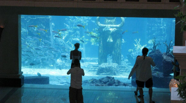 Atlantis Aquarium viewing room