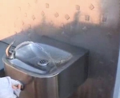 Some of the water fountains in Disney World talk to you.