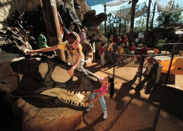 While in the DinoLand USA area of the park, be sure to visit the Bone Yard.