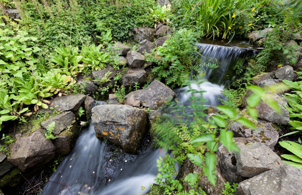 Small Waterfall at the Royal Botanic Garden Edinburgh