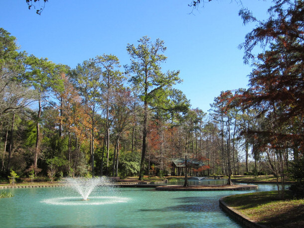 Storey Lake at Mercer Arboretum and Botanic Gardens