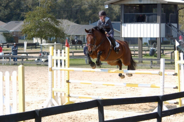 Advanced Rider at Cypress Trails Equestrian Center