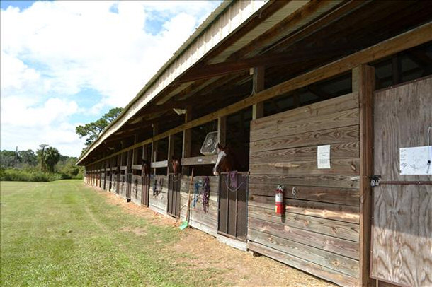 One of the Many Barns at Cypress Trails Equestrian Center