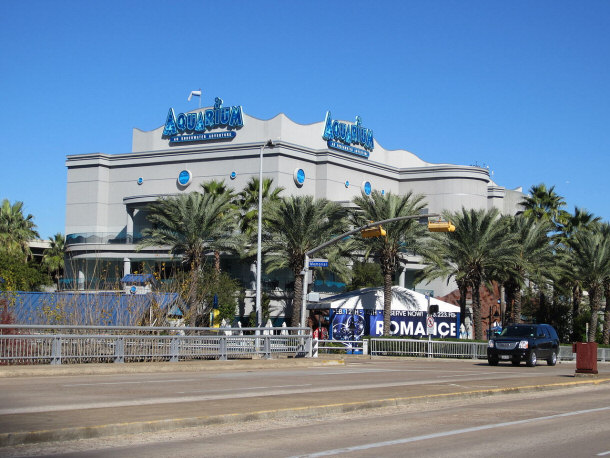 Downtown Aquarium