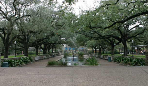 Reflection Pool at the Houston Zoo