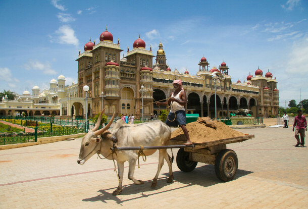 Man Riding Cart In Front Of Mysore Palace