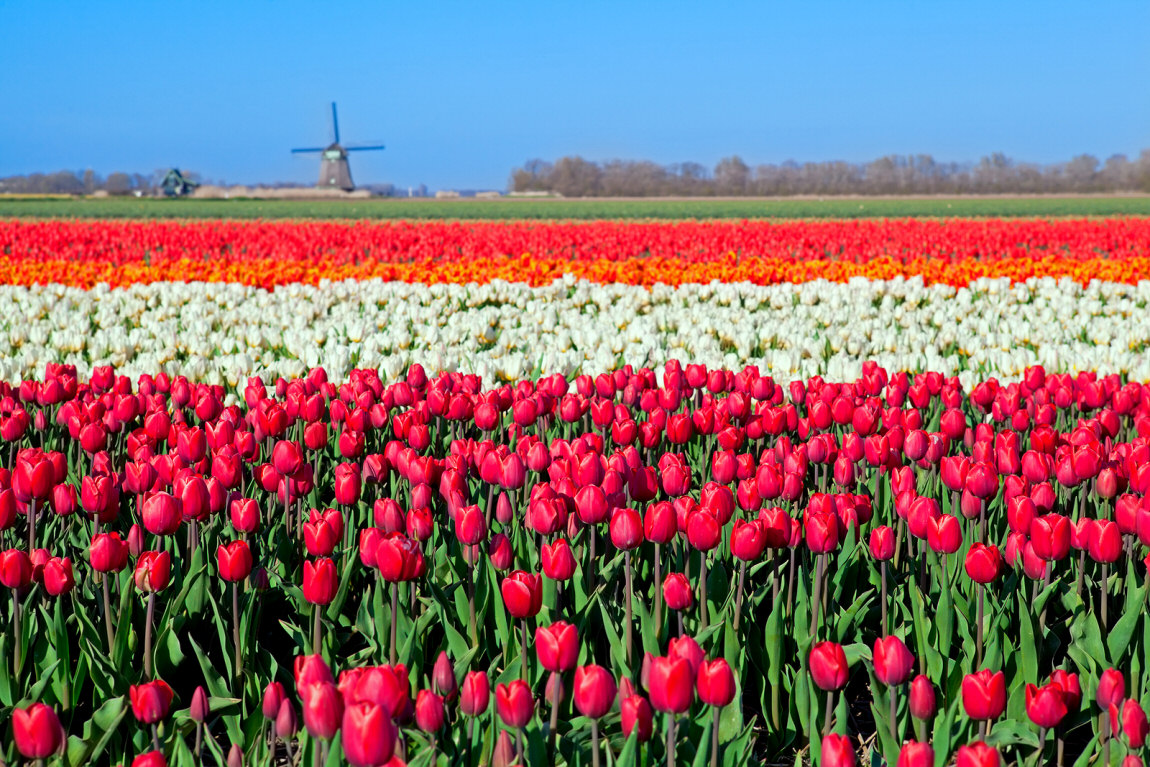Top 15 Interesting Places to Visit in the Netherlands